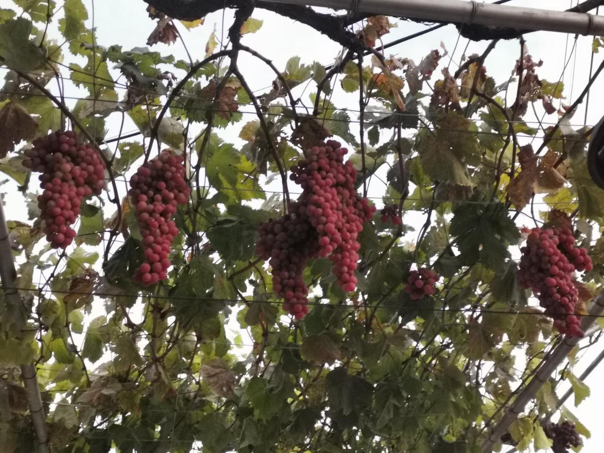 Възрожденски Комплекс Чардакъ Сопот المظهر الخارجي الصورة